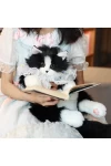 Tuxedo Cat Doll Backpack